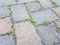 Green weeds growing in cracks in stone tiles