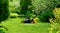 Green well-kept lawn with the lawn mower in garden.