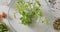 The green wet leaves of the arugula fall into a glass bowl. Preparation of salad greens on a background with tomatoes