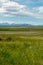 Green wetland field with mountain on the background