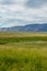 Green wetland field with mountain on the background