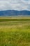 Green wetland field with mountain on the background