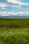 Green wetland field with mountain on the background