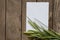 Green wheat branches with fields lie on an old wooden table and a white empty leaf with a place for text