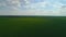 Green wheat field, blue sky, white clouds. Nature agriculture landscape, 4k video