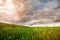 Green wheat field with low clouds and dramatic clouds after sunset. Rich contrast