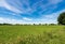 Green Wheat Field in Springtime - Padan Plain or Po valley Lombardy Italy