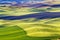 Green Wheat Fields Black Land Palouse Washington