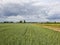 Green wheat fields and farm track under a cloudy summer sky