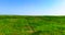 Green wheat fields in Hanzhong, Shaanxi