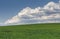 Green wheatfield and strom clouds