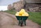 Green wheelbarrow full of pumpkins