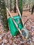 Green wheelbarrow in the woods