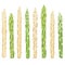 Green and white asparagus isolated