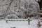 Green and white barrier preventing passage into the forest. Covered with white snow on a cloudy winter day