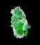 Green and white color dragon siamese fighting fish, betta fish isolated on black background. Capture the moving moment of crown
