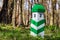 Green-white wooden pillar in the forest.