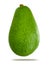Green whole avocado organic nature on white background isolated