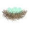 Green wild eggs in bird nest.