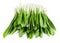 Green wild garlic