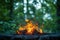 Green wilderness setting Campfire crackles amid lush foliage