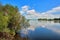 Green willow on bank of Irkut River