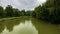 Green willows grow on the shore of the lake