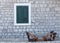 Green window shutters are closed on a stone wall. Southern Europe. Adriatic coast.