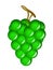 green wine grapes