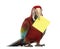 Green-winged Macaw, Ara chloropterus, 1 year old, holding a yellow card in its beak, a post-it