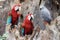 Green-winged macaw standing on the wood