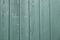 Green Wood Grain Shed Door