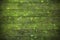 Green Wood Moss Lichen Background