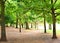 A green wooded area in Preston Park.