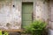 Green wooden door, dirty grunge stucco wall background
