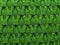 Green wool textile macro with fine detail elements