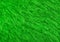 Green wool with top texture background. Texture of fluffy fur for designers. Close-up fragment carpet