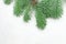 Green Xmas tree branch on white plaster stucco concrete texture background. Christmas border composition
