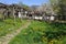 Green yard of Bulgarian rural house