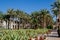 Green yard of classical mediterranean nature with palm trees and flowers under the blue sky