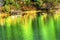 Green Yellow Autumn Reflection Colors Gold Lake Snoqualme Pass W