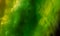 Green yellow and black colors over the sky background texture design