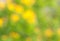 Green and yellow bluring background