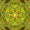 green and yellow coloured hexagonal floral fantasy