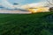 Green and yellow fields of colza at cloudy sunset