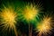 Green yellow fireworks display for celebration on dark night background