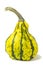 Green & Yellow Gourd