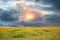 Green yellow meadow field with flowers and grass  blue cloudy gold  pink sunset  and sun beam on sky  evening hature landscape