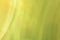 Green yellow olive background with diagonal flounces. Fresh banner with spring summer gradient