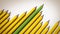 Green and yellow pencils arranged like a sales graph. 3D illustration